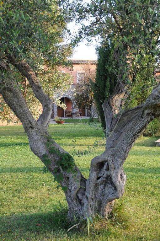 Relais Le Ginestre Villa Saturnia Eksteriør billede